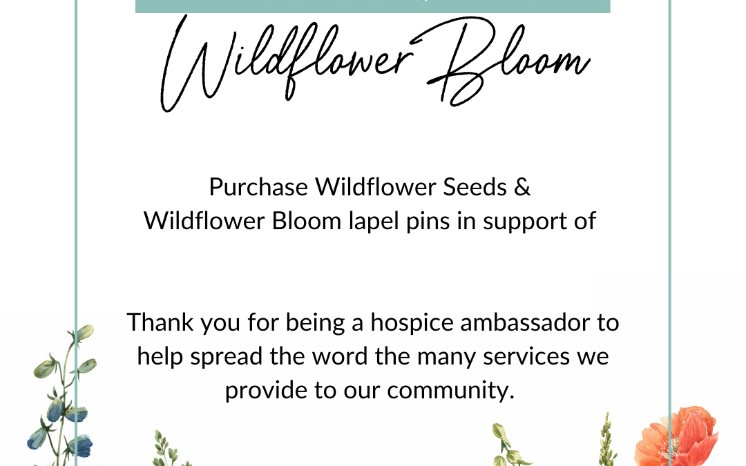 Wildflower Bloom Campaign 2023